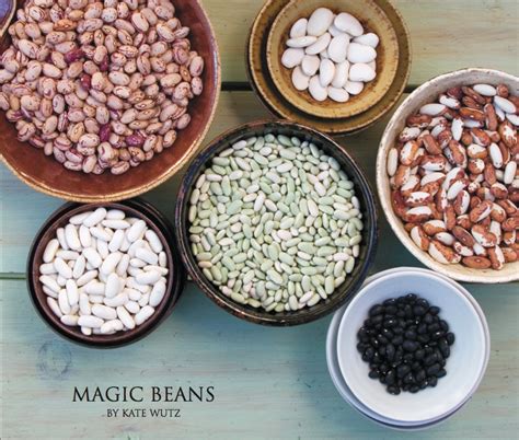 The role of magic beans in ancient civilizations: Myths and legends